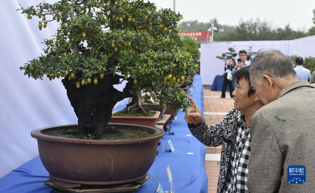搜狗浏览器